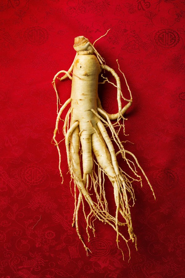 Quels sont les bienfaits du ginseng rouge coréen ?