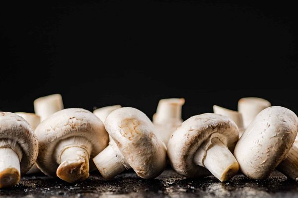 les meilleures recettes de croustades salées aux champignons sauvages